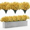 Goodsright Decor 24pcs, Yellow Plastic Artificial Spring Violets Outdoor Faux Greenery Silk-Printed Small Daisy Fake Flowers, Decorative Props For Hotel Indoor And Outdoor Corridors Doorway Window Displays