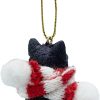 Goodsright Decor Black Longhair Tabby Kitty Cat Christmas Tree Ornament with Candy Cane Scarf