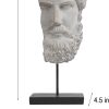 Goodsright Decor Greek Statue Sculptures Home Decor - Resin Bust Statue Zeus Statue on Metal Pole and Resin Base Greek God Statues for Living Room Shelf Office Table TV Stand Art Decor 8.25*4.5*16 Inch