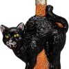 Goodsright Decor Old World Christmas Halloween Decorations Glass Blown Ornaments for Christmas Tree Mr. Bones, 26066