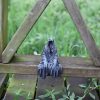 Goodsright Decor Resin Tabletop Gothic Decor Sitting Statue, Resin Statue Gothic Decor, Fits On Sturdy Shelf and Has A Cool Mystic Look 5.1 Inch