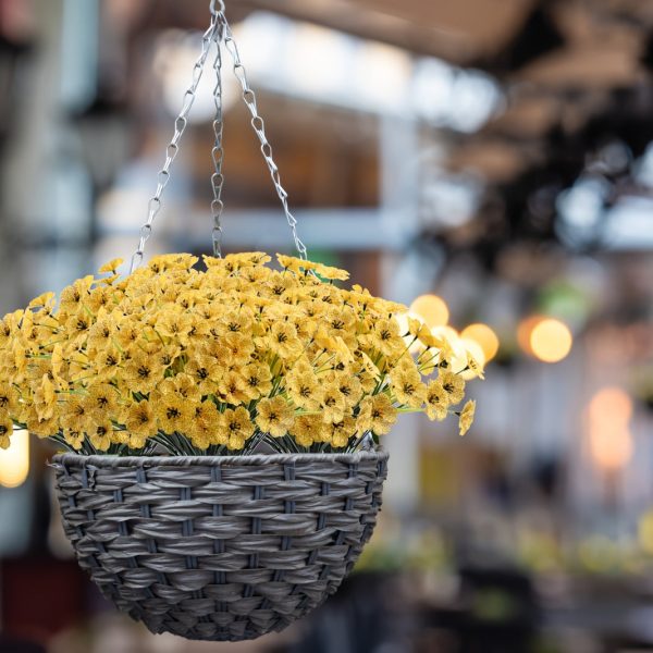 Goodsright Decor 24pcs, Yellow Plastic Artificial Spring Violets Outdoor Faux Greenery Silk-Printed Small Daisy Fake Flowers, Decorative Props For Hotel Indoor And Outdoor Corridors Doorway Window Displays