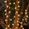 Goodsright Decor 100-Bulb Multi-Color LED String Lights 64ft - Waterproof, Dimmable Globe with Timer, 8 Modes - Perfect for All-Year Festivities